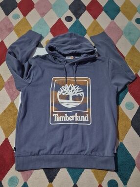 Timberland Men's Outdoor Graphic Brushback Hoodie